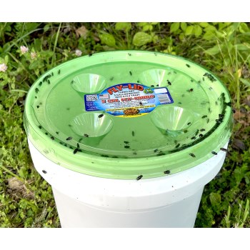 Billy Bob 5-Gallon Fly Trap Bucket Lid - 16pk Display