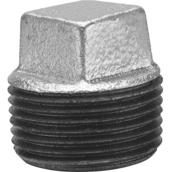 Galvanized Plug ~ 2-1/2"