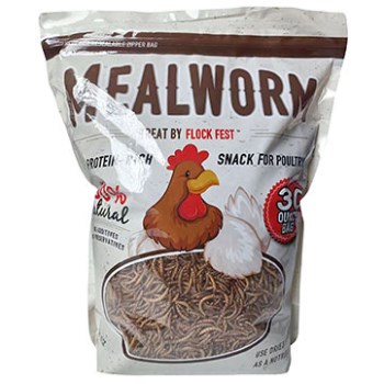 30oz Meal Worms