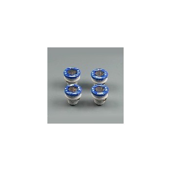 Bussmann/Fusetron S15 Plug Fuse - 15 amp