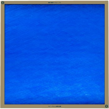 True Blue Fiberglass Air Filter, MERV 2 - 25" x 25" x 1"