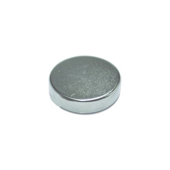 Master Magnetics 07045 .315in. Dia Super Magnets