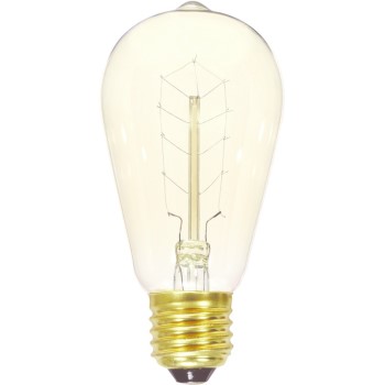 Vintage Light Bulb