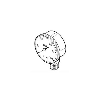 Flotec/Simer/Pentair TC2104-P2 Pressure Gauge, 100 PSI