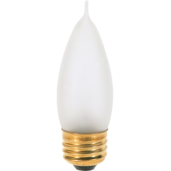 Incandescent Decorative Bulb