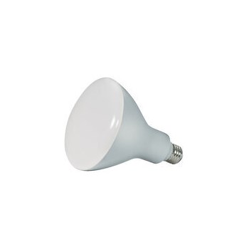 13W LED BR30 Incandescent Bulb