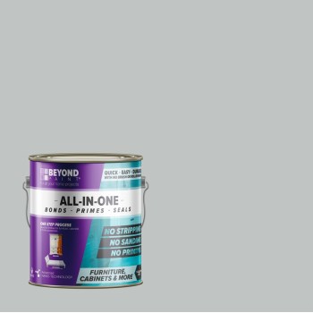 1g Sfgry All-In-1 Paint
