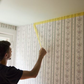 FrogTape Delicate Surface Tape, Yellow - 1-1/2" x 60 Yd