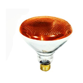 Colored Floodlight, Amber 120 Volt 100 Watt