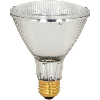 Halogen Par Light Bulb