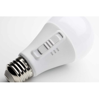 LED A19 Bulb, 3CCT Selectable - 14W (100W Equivalent)