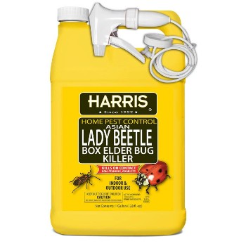 Harris  HBXA-128 Lady Beetle &amp;  Boxelder Bug Killer ~ Gallon