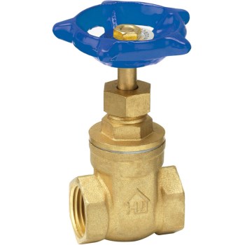 1 Fip Gate Valve