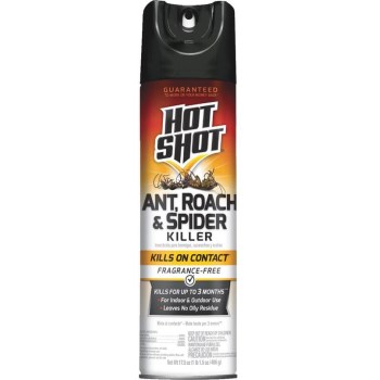 Ant/Roach & Spider Killer
