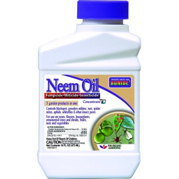 Bon-Neem Oil Concentrate ~ 16 oz