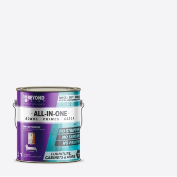 1g Bwht All-In-1 Paint