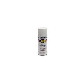 Enamel Spray Paint, Flat White ~ 12 oz