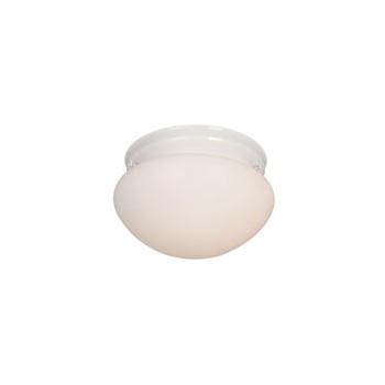 Ceiling Light Fixture