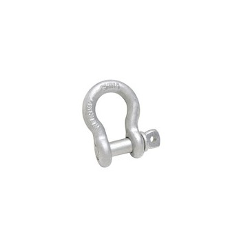 Shackle Screw Pin, 1 inch