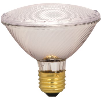 Halogen PAR30 Light Bulb