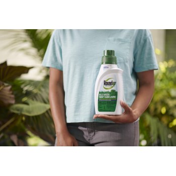 Roundup Concentrate for Southern Lawns - Qt