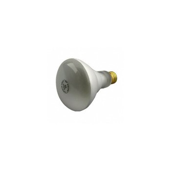 BR30 Track/Recessed Light Bulbs