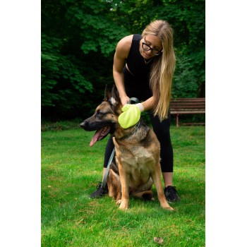 Tick Mitt Tick Removal Glove - Green
