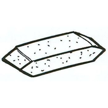 Color Match Applicator, Foam