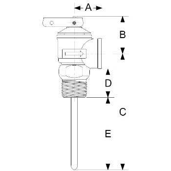 Temperature and Relief Valve