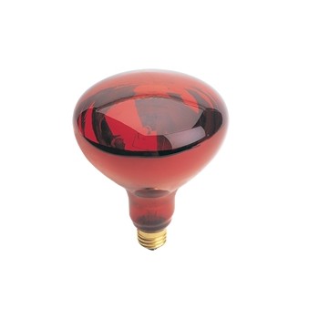 Heat Lamp Light Bulb, Red 120 Volt 250 Watt 