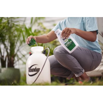 Roundup Concentrate for Southern Lawns - Qt