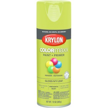 Krylon K05525007 5525 Sp Gloss Ivy Leaf Paint