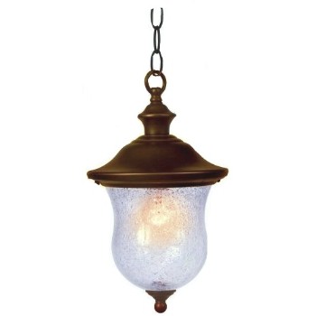 Hardware House  544098 Outdoor Light Fixture  - Chain Hung 