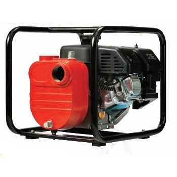 Franklin ElectricRed Lion 617032 Gas Utlity Pump 5HP