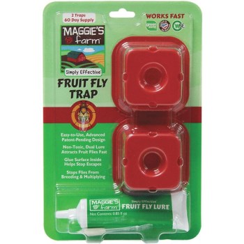 Fruit Fly Trap