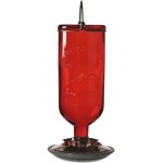 16oz Red Antique Feeder