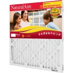 Naturalaire Microparticle MERV 10 Air Filter - 20" x 25" x 1"