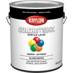 Colormaxx Paint, White Gloss~ Gallon