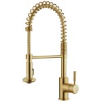 Compass Casmir Spring Coil Kitchen Faucet, Matte Gold