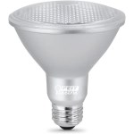 Feit Electric PAR30 LED Bulb - 75W Eq, 3000K