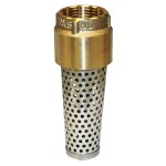 Red Brass Foot Valve - 1"