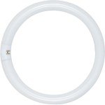 Fluorescent Circline Tube