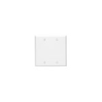 2-Gang Blank Plate - Double, White