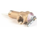 Water Heater Relief Valve - 2 1/2 inch