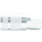 1/4 F Npt 1/4 Coupler