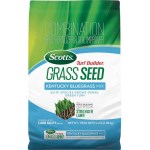 18036 2.4lb Ky Bluegrass Mix