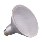 15W LED PAR38 Bulb