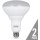 Dimmable Led Bulb ~ 2 pack