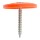 Plastic Cap Nails  2"   (300 Count Box)