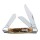 Stockman Knife - Amber Bone 